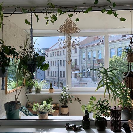 Three Bedroom With Two Terraces For 7People+Baby 考纳斯 外观 照片