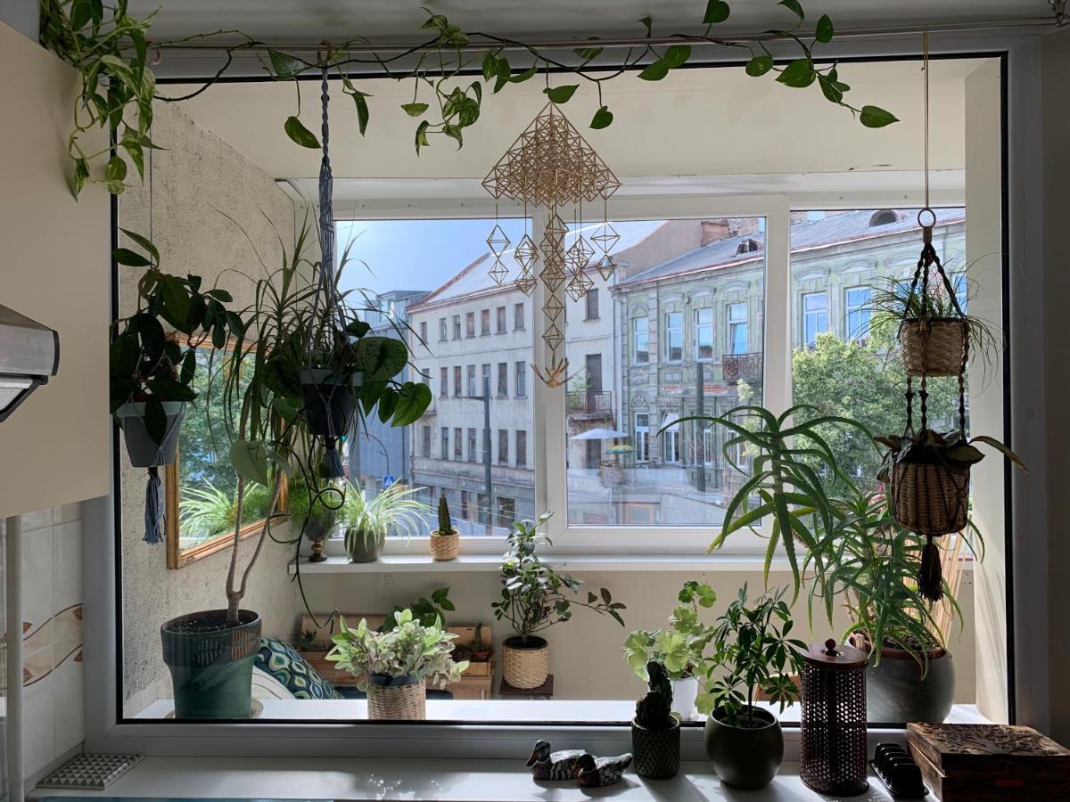 Three Bedroom With Two Terraces For 7People+Baby 考纳斯 外观 照片
