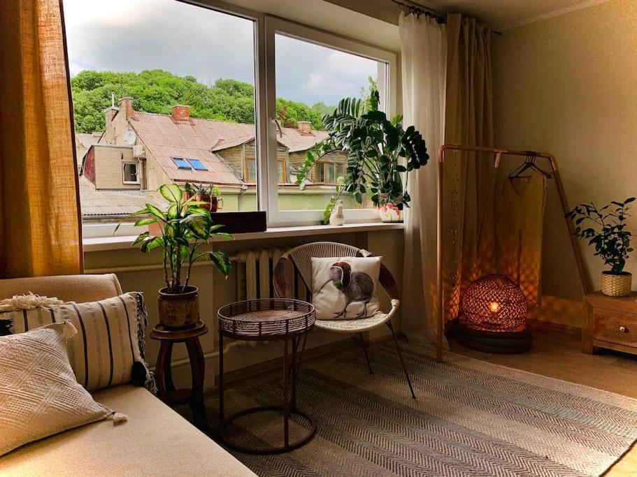 Three Bedroom With Two Terraces For 7People+Baby 考纳斯 外观 照片