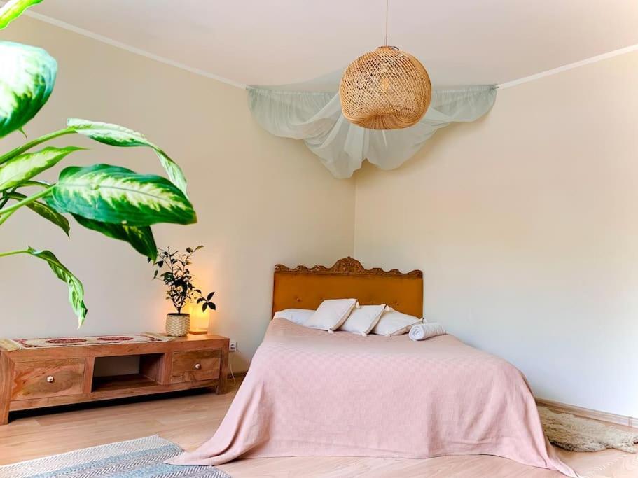 Three Bedroom With Two Terraces For 7People+Baby 考纳斯 外观 照片