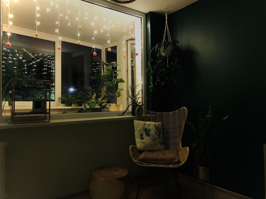 Three Bedroom With Two Terraces For 7People+Baby 考纳斯 外观 照片