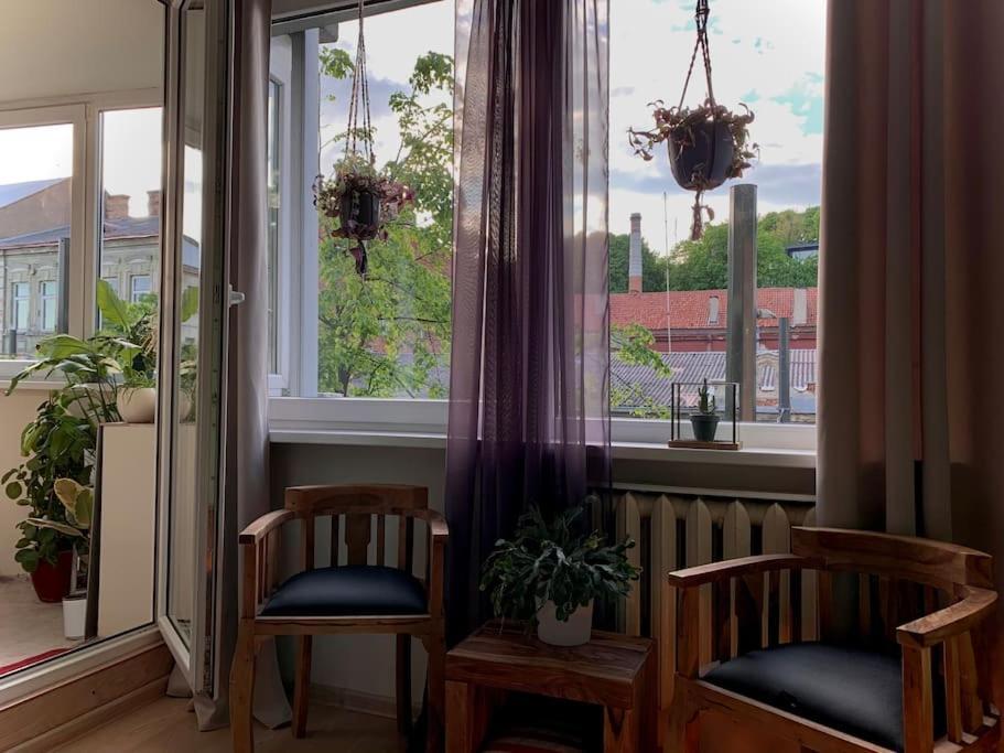 Three Bedroom With Two Terraces For 7People+Baby 考纳斯 外观 照片