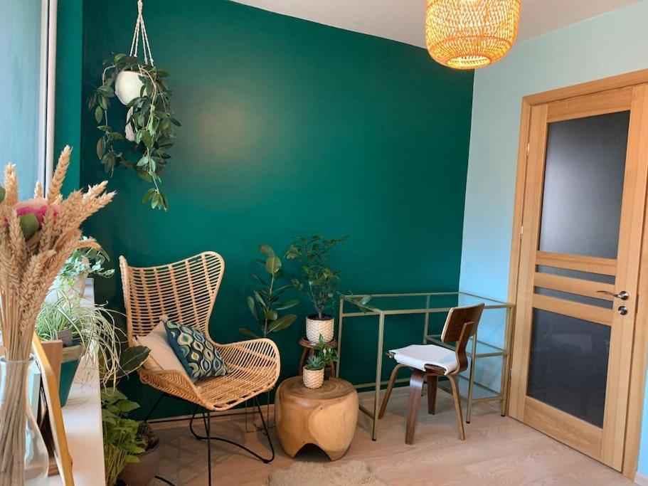 Three Bedroom With Two Terraces For 7People+Baby 考纳斯 外观 照片