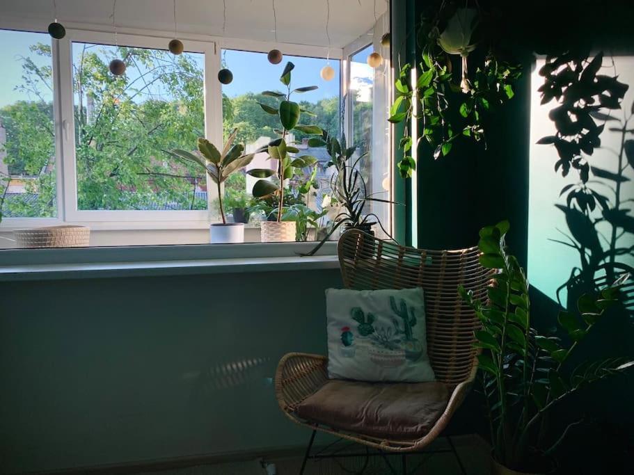 Three Bedroom With Two Terraces For 7People+Baby 考纳斯 外观 照片