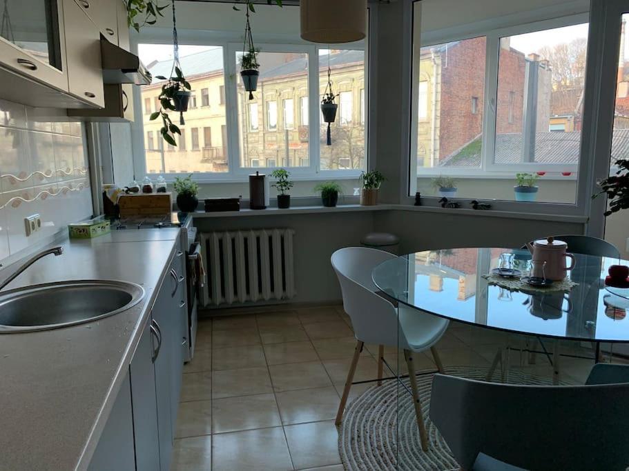 Three Bedroom With Two Terraces For 7People+Baby 考纳斯 外观 照片